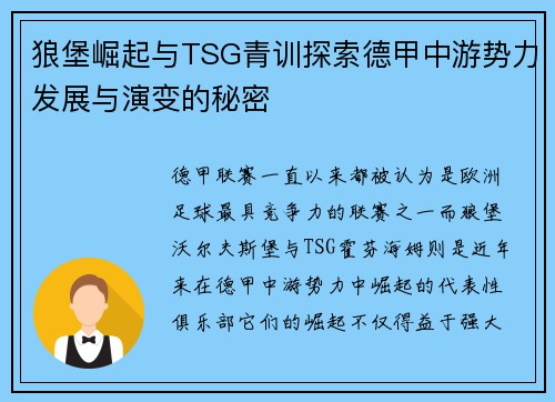 狼堡崛起与TSG青训探索德甲中游势力发展与演变的秘密